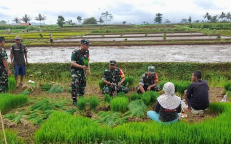 BABINSA MELAKSANAKAN PENDAMPINGAN PROGRAM PERTANIAN