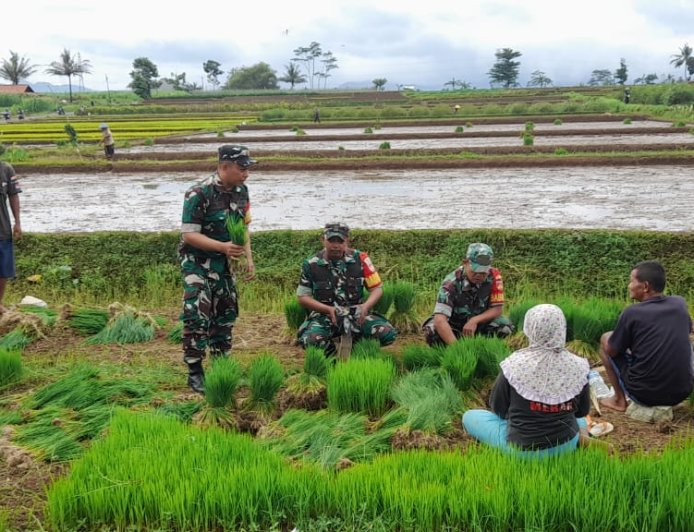BABINSA MELAKSANAKAN PENDAMPINGAN PROGRAM PERTANIAN